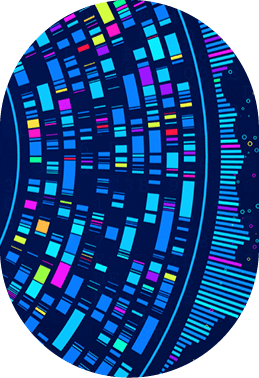 Big data and AI automation technology for business analytics. Data mining, filtering, sorting, clustering. Data science, Artificial Intelligence and visualization, innovation. Illustration