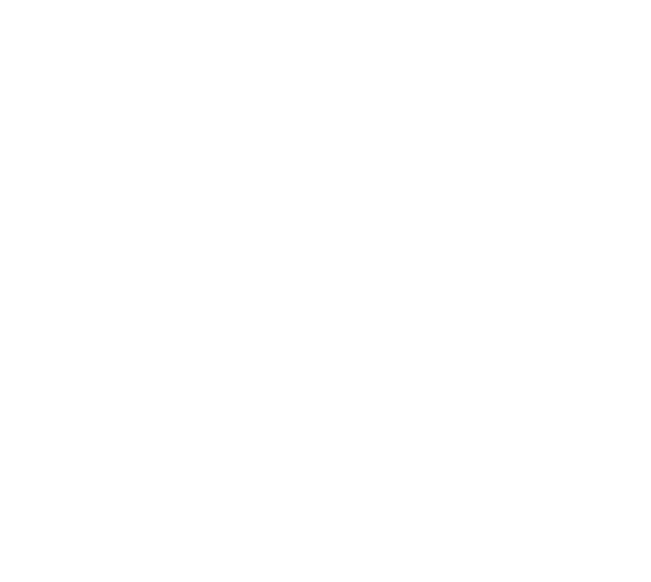 Supply Chain Challenges