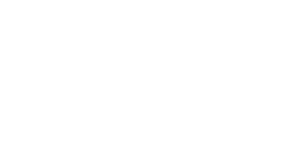 Supply Chain Challenges