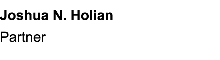 Joshua N. Holian Partner