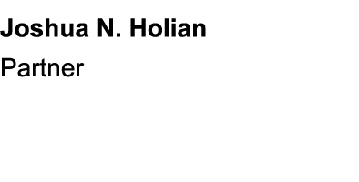 Joshua N. Holian Partner