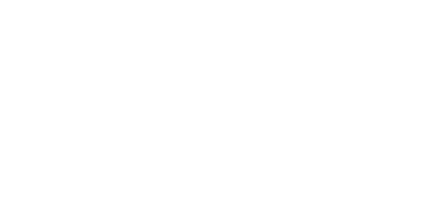 Regulatory Issues in Cross Border Licensing: Pricing, Competition, Data Privacy, and National Security