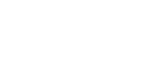 Challenges and Opportunities in the Evolving Digital Health Landscape in the US and Europe